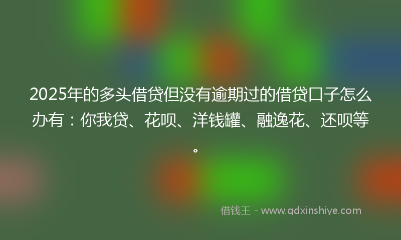 2025年的多头借贷但没有逾期过的借贷口子怎么办有：你我贷、花呗、洋钱罐、融逸花、还呗等。