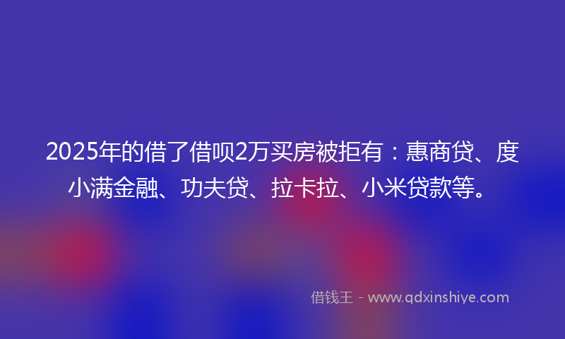 2025年的借了借呗2万买房被拒有：惠商贷、度小满金融、功夫贷、拉卡拉、小米贷款等。
