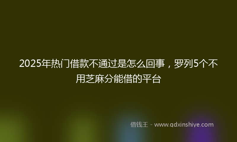 2025年热门借款不通过是怎么回事，罗列5个不用芝麻分能借的平台