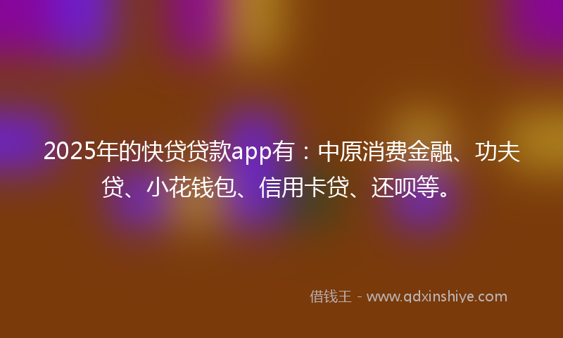 2025年的快贷贷款app有：中原消费金融、功夫贷、小花钱包、信用卡贷、还呗等。