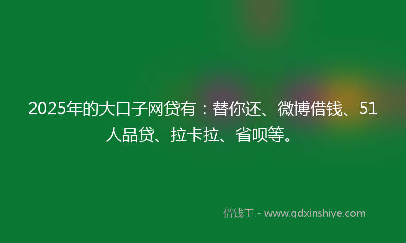 2025年的大口子网贷有：替你还、微博借钱、51人品贷、拉卡拉、省呗等。