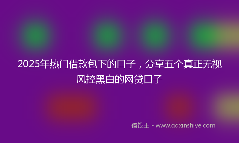 2025年热门借款包下的口子，分享五个真正无视风控黑白的网贷口子
