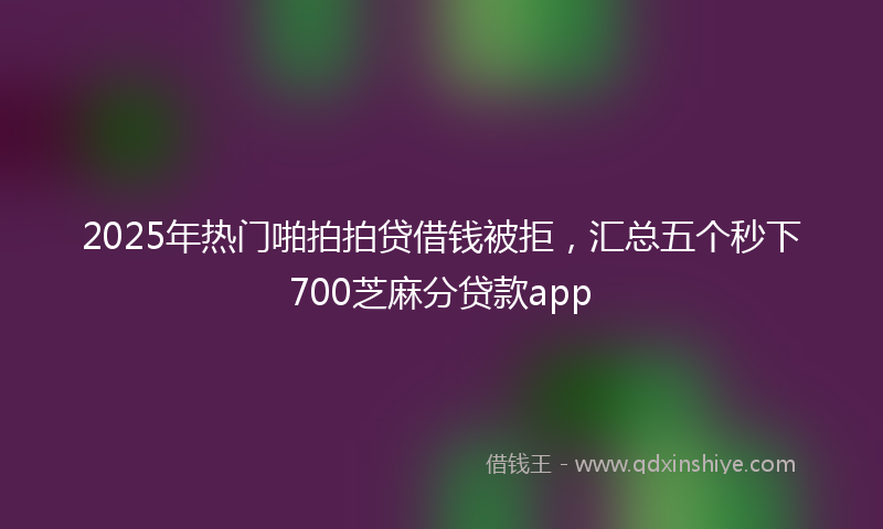 2025年热门啪拍拍贷借钱被拒，汇总五个秒下700芝麻分贷款app