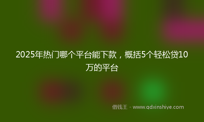 2025年热门哪个平台能下款，概括5个轻松贷10万的平台