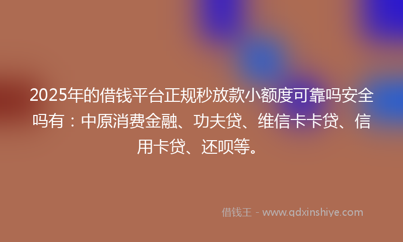 2025年的借钱平台正规秒放款小额度可靠吗安全吗有：中原消费金融、功夫贷、维信卡卡贷、信用卡贷、还呗等。