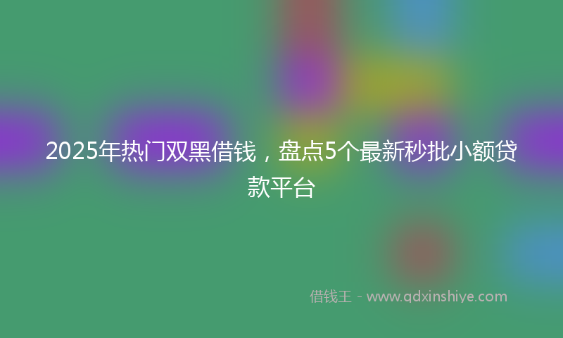 2025年热门双黑借钱，盘点5个最新秒批小额贷款平台