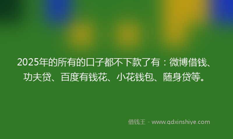 2025年的所有的口子都不下款了有:微博借钱、功夫贷、百度有钱花、小花钱包、随身贷等。
