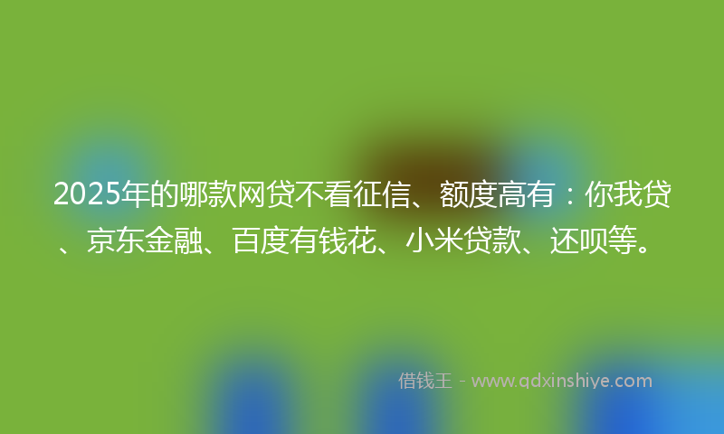 2025年的哪款网贷不看征信、额度高有：你我贷、京东金融、百度有钱花、小米贷款、还呗等。