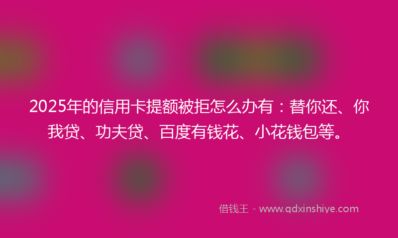 2025年的信用卡提额被拒怎么办有：替你还、你我贷、功夫贷、百度有钱花、小花钱包等。
