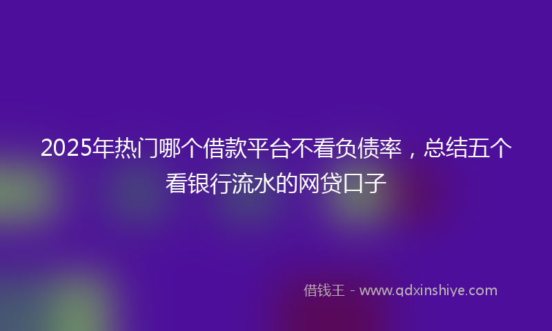 2025年热门哪个借款平台不看负债率，总结五个看银行流水的网贷口子