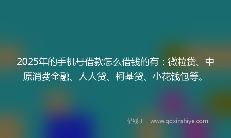 2025年的手机号借款怎么借钱的有：微粒贷、中原消费金融、人人贷、柯基贷、小花钱包等。