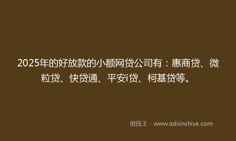 2025年的好放款的小额网贷公司有：惠商贷、微粒贷、快贷通、平安i贷、柯基贷等。