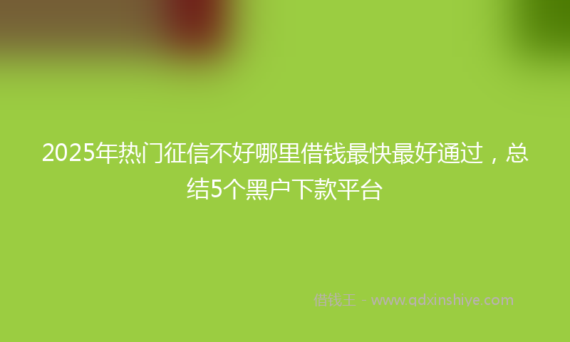 2025年热门征信不好哪里借钱最快最好通过，总结5个黑户下款平台