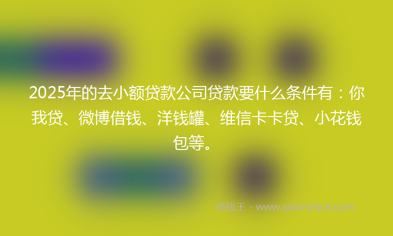 2025年的去小额贷款公司贷款要什么条件有：你我贷、微博借钱、洋钱罐、维信卡卡贷、小花钱包等。