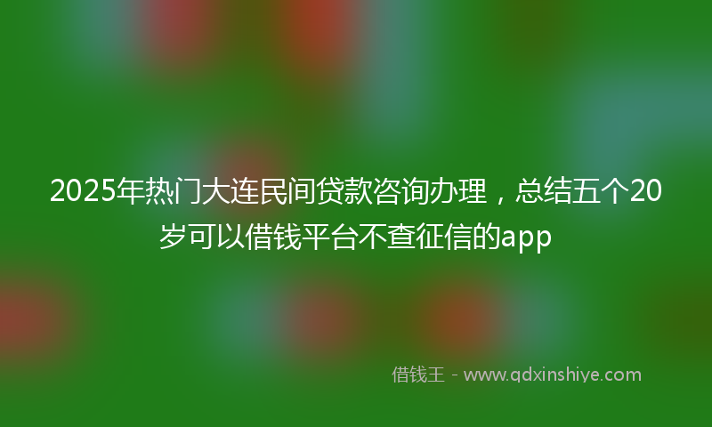 2025年热门大连民间贷款咨询办理，总结五个20岁可以借钱平台不查征信的app