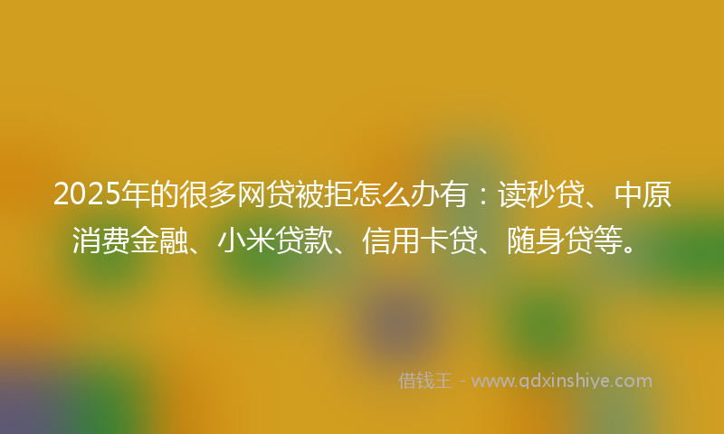 2025年的很多网贷被拒怎么办有：读秒贷、中原消费金融、小米贷款、信用卡贷、随身贷等。