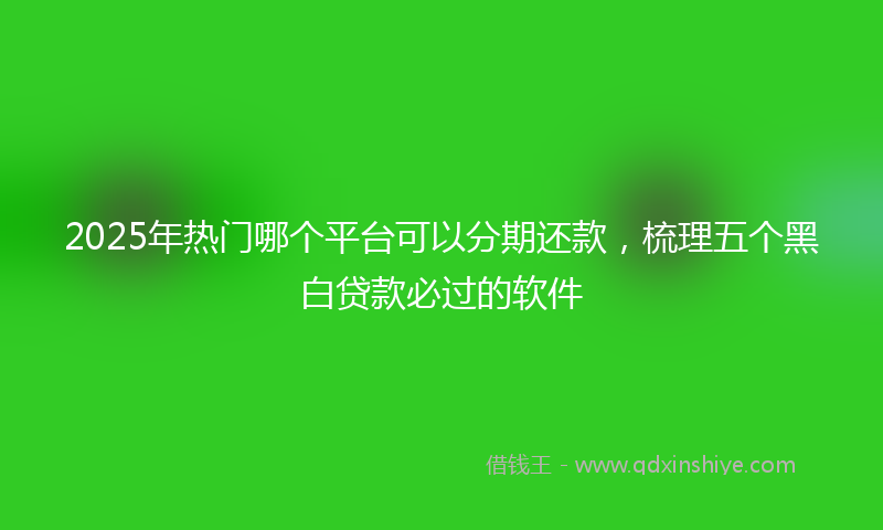 2025年热门哪个平台可以分期还款，梳理五个黑白贷款必过的软件