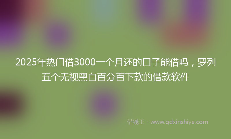 2025年热门借3000一个月还的口子能借吗，罗列五个无视黑白百分百下款的借款软件