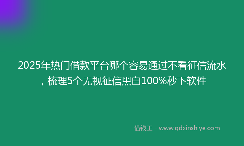 2025年热门借款平台哪个容易通过不看征信流水，梳理5个无视征信黑白100%秒下软件