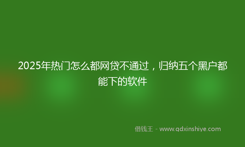 2025年热门怎么都网贷不通过，归纳五个黑户都能下的软件