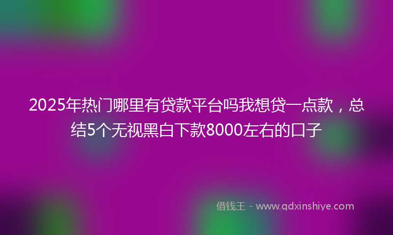 2025年热门哪里有贷款平台吗我想贷一点款，总结5个无视黑白下款8000左右的口子