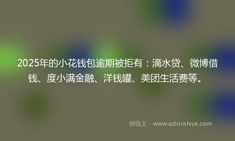 2025年的小花钱包逾期被拒有：滴水贷、微博借钱、度小满金融、洋钱罐、美团生活费等。