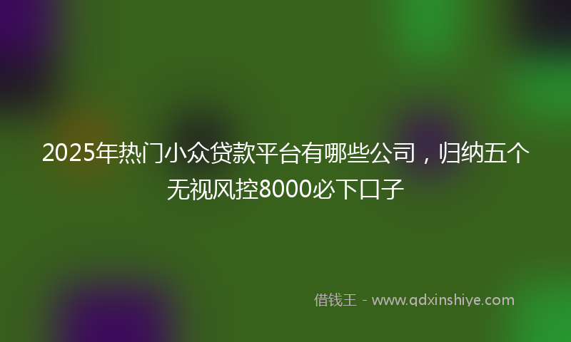 2025年热门小众贷款平台有哪些公司，归纳五个无视风控8000必下口子