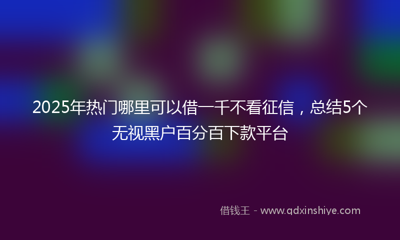 2025年热门哪里可以借一千不看征信，总结5个无视黑户百分百下款平台
