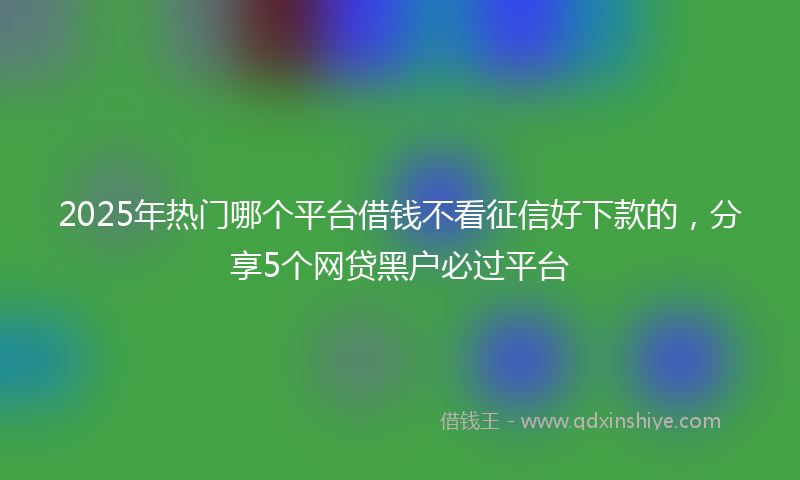 2025年热门哪个平台借钱不看征信好下款的，分享5个网贷黑户必过平台
