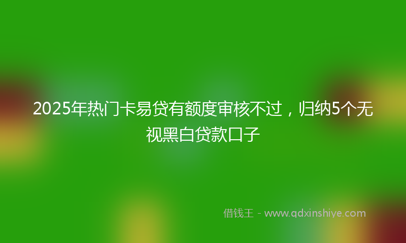 2025年热门卡易贷有额度审核不过，归纳5个无视黑白贷款口子