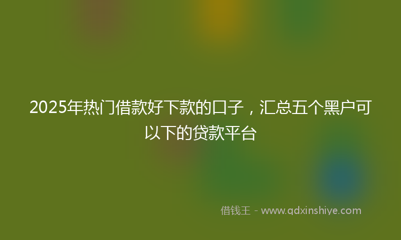2025年热门借款好下款的口子，汇总五个黑户可以下的贷款平台