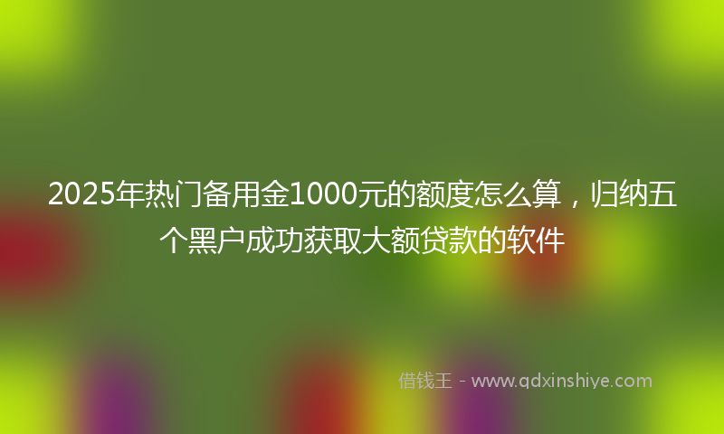 2025年热门备用金1000元的额度怎么算，归纳五个黑户成功获取大额贷款的软件