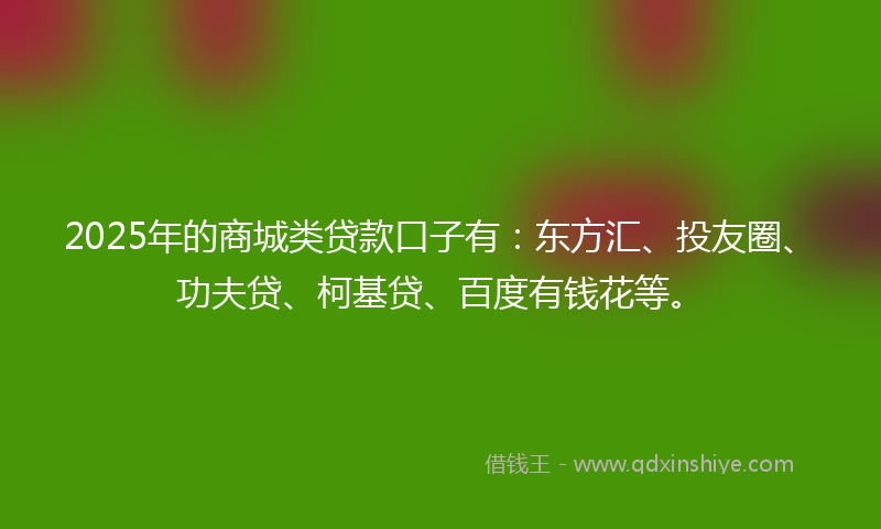 2025年的商城类贷款口子有：东方汇、投友圈、功夫贷、柯基贷、百度有钱花等。