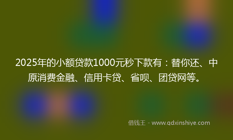 2025年的小额贷款1000元秒下款有：替你还、中原消费金融、信用卡贷、省呗、团贷网等。
