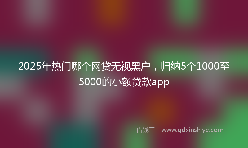 2025年热门哪个网贷无视黑户，归纳5个1000至5000的小额贷款app