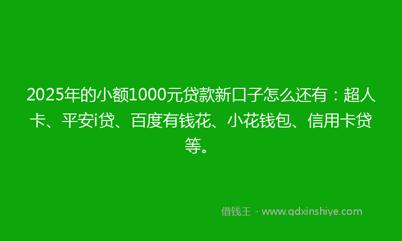 2025年的小额1000元贷款新口子怎么还有：超人卡、平安i贷、百度有钱花、小花钱包、信用卡贷等。