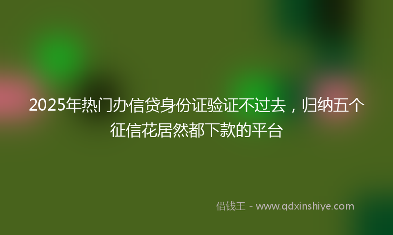 2025年热门办信贷身份证验证不过去，归纳五个征信花居然都下款的平台