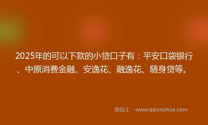 2025年的可以下款的小贷口子有：平安口袋银行、中原消费金融、安逸花、融逸花、随身贷等。