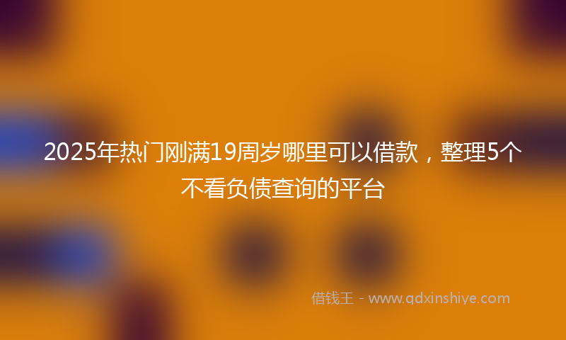 2025年热门刚满19周岁哪里可以借款，整理5个不看负债查询的平台