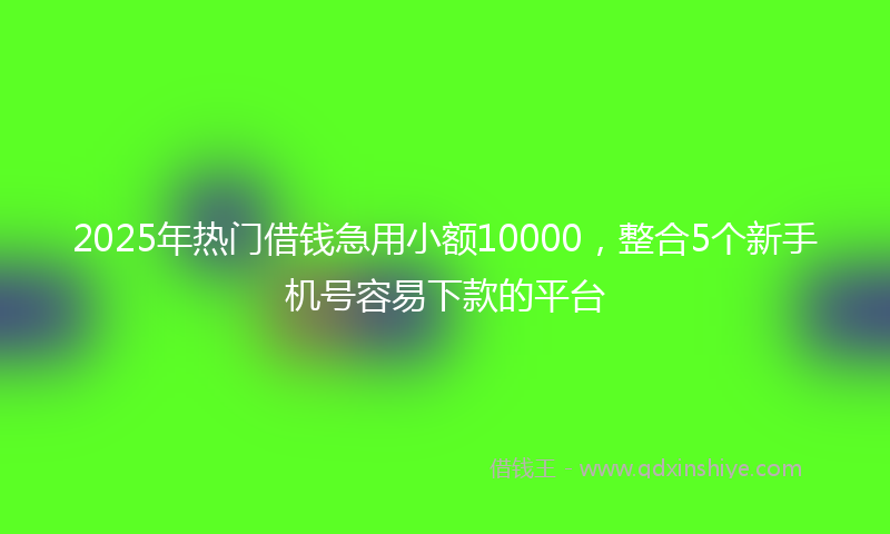 2025年热门借钱急用小额10000，整合5个新手机号容易下款的平台