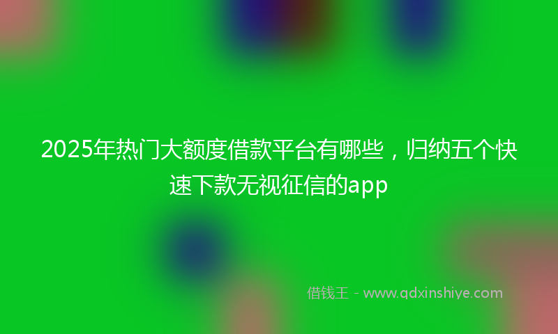 2025年热门大额度借款平台有哪些，归纳五个快速下款无视征信的app