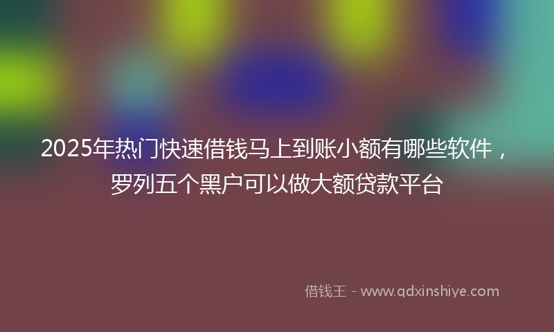 2025年热门快速借钱马上到账小额有哪些软件，罗列五个黑户可以做大额贷款平台