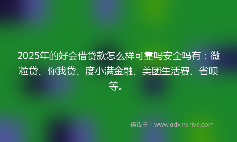2025年的好会借贷款怎么样可靠吗安全吗有：微粒贷、你我贷、度小满金融、美团生活费、省呗等。