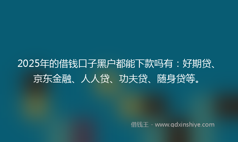 2025年的借钱口子黑户都能下款吗有：好期贷、京东金融、人人贷、功夫贷、随身贷等。