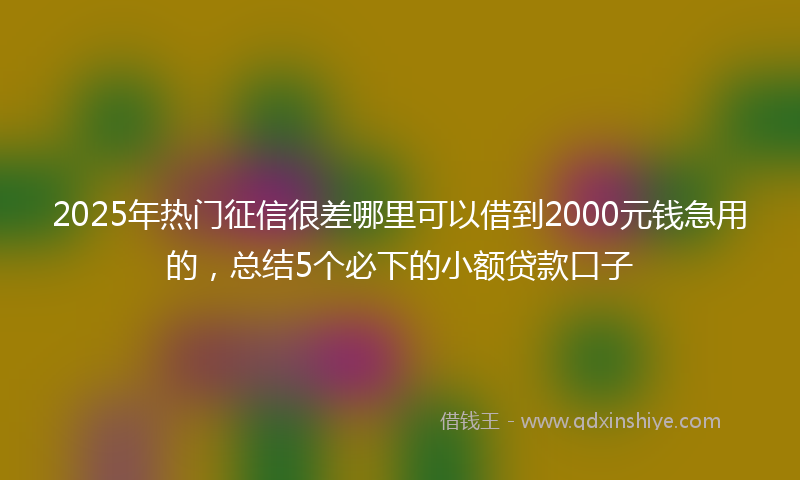 2025年热门征信很差哪里可以借到2000元钱急用的，总结5个必下的小额贷款口子