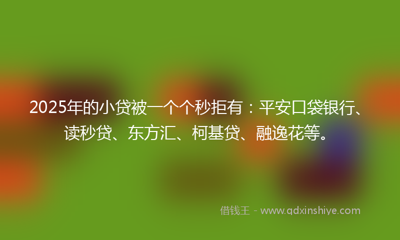 2025年的小贷被一个个秒拒有：平安口袋银行、读秒贷、东方汇、柯基贷、融逸花等。