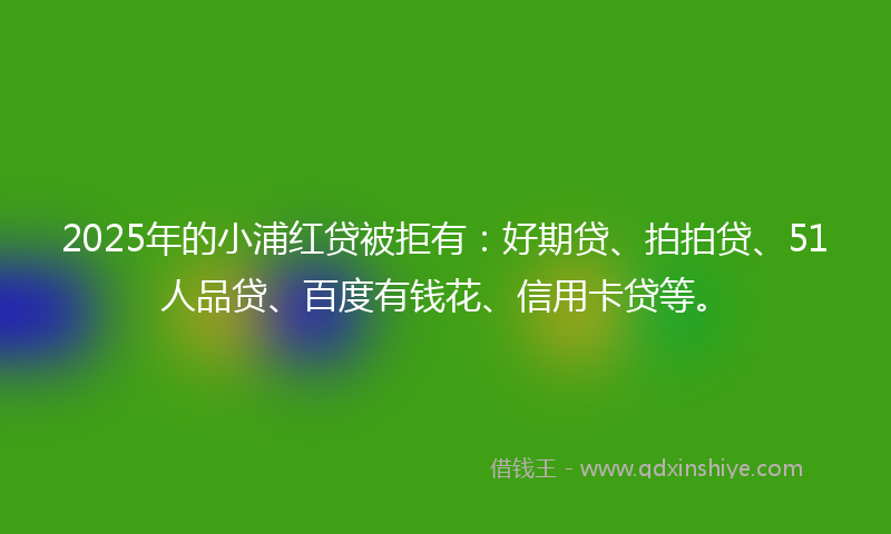 2025年的小浦红贷被拒有：好期贷、拍拍贷、51人品贷、百度有钱花、信用卡贷等。