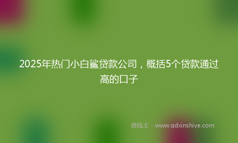 2025年热门小白鲨贷款公司，概括5个贷款通过高的口子