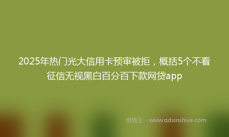 2025年热门光大信用卡预审被拒，概括5个不看征信无视黑白百分百下款网贷app