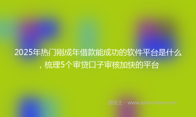 2025年热门刚成年借款能成功的软件平台是什么，梳理5个审贷口子审核加快的平台